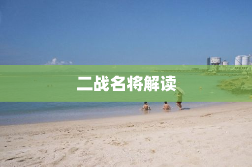二(er)戰名將(jiang)解讀(du)