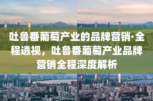 吐(tu)魯(lu)番(fan)葡萄産業(ye)的(de)品(pin)牌(pai)營(ying)銷(xiao)·全程透視，吐魯番(fan)葡(pu)萄(tao)産(chan)業品牌(pai)營(ying)銷全(quan)程(cheng)深(shen)度解(jie)析(xi)