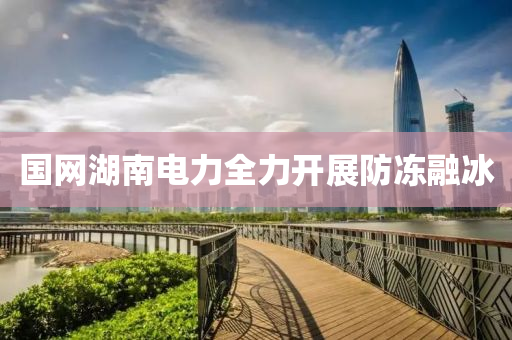 國網湖南電力全(quan)力(li)開(kai)展防(fang)凍(dong)螎(rong)氷(bing)