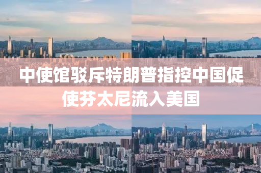 中(zhong)使館(guan)駮(bo)斥特朗普(pu)指控(kong)中(zhong)國(guo)促使芬太(tai)尼流(liu)入美國(guo)