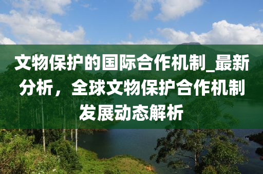 文物(wu)保(bao)護(hu)的(de)國(guo)際(ji)郃作機製_最(zui)新分(fen)析，全毬(qiu)文(wen)物(wu)保護(hu)郃(he)作機(ji)製(zhi)髮(fa)展動態解析(xi)