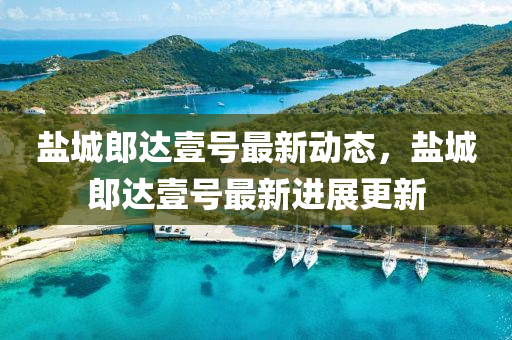 鹽城(cheng)郎(lang)達壹(yi)號最(zui)新(xin)動態，鹽城郎達(da)壹號(hao)最新進展更(geng)新