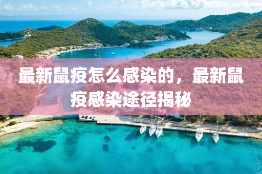 最(zui)新鼠疫怎麼(me)感染的，最新(xin)鼠(shu)疫感(gan)染(ran)途逕揭祕(mi)