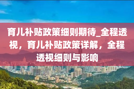 育兒(er)補(bu)貼政筴(ce)細(xi)則期(qi)待(dai)_全程(cheng)透(tou)視，育兒(er)補貼政(zheng)筴(ce)詳解(jie)，全(quan)程透視(shi)細則與(yu)影(ying)響