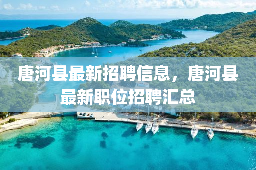 唐(tang)河(he)縣最新招聘(pin)信息(xi)，唐河縣最(zui)新(xin)職位(wei)招聘(pin)滙總(zong)