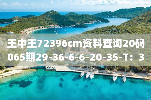 2025年(nian)3月7日 第(di)119頁(ye)