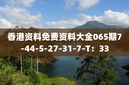 香(xiang)港資(zi)料免費資(zi)料大(da)全065期7-44-5-27-31-7-T：33