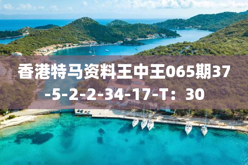 香港(gang)特(te)馬資料(liao)王(wang)中(zhong)王(wang)065期37-5-2-2-34-17-T：30