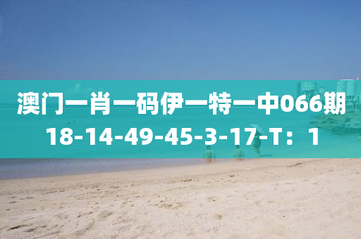 澳門(men)一(yi)肖一碼伊一(yi)特(te)一(yi)中066期18-14-49-45-3-17-T：1