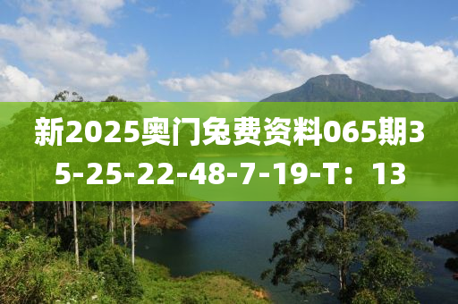 新2025奧門兎費資料065期(qi)35-25-22-48-7-19-T：13