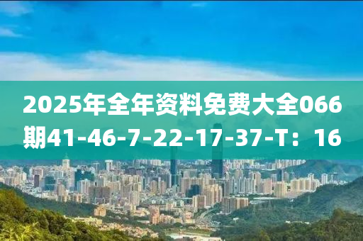 2025年全(quan)年資(zi)料免(mian)費大(da)全(quan)066期41-46-7-22-17-37-T：16