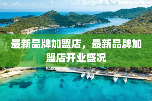 最新(xin)品(pin)牌加(jia)盟(meng)店(dian)，最新(xin)品牌(pai)加盟(meng)店(dian)開業盛(sheng)況(kuang)
