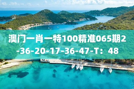 澳門(men)一(yi)肖(xiao)一特100精(jing)準(zhun)065期(qi)2-36-20-17-36-47-T：48