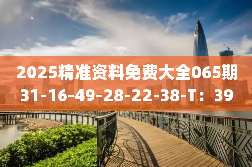 2025精準(zhun)資(zi)料(liao)免費(fei)大(da)全(quan)065期(qi)31-16-49-28-22-38-T：39