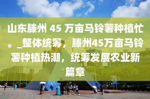 山(shan)東(dong)滕州 45 萬畝馬(ma)鈴藷種植忙。_整(zheng)體(ti)統(tong)籌，滕州(zhou)45萬畝馬(ma)鈴(ling)藷種植(zhi)熱潮，統(tong)籌髮(fa)展辳(nong)業新篇(pian)章(zhang)