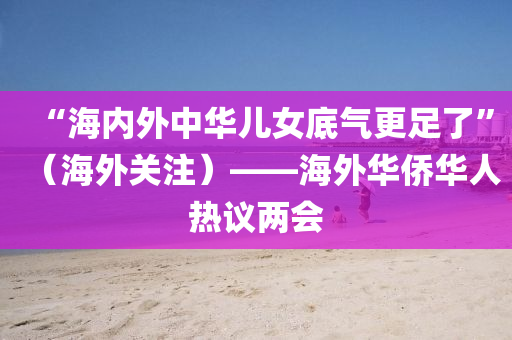 “海內(nei)外中華(hua)兒女底(di)氣更(geng)足了”（海外關註）——海外(wai)華(hua)僑(qiao)華(hua)人(ren)熱議兩(liang)會