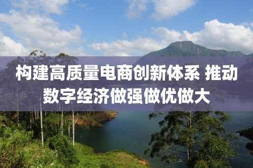 構建高(gao)質量電商創(chuang)新體係 推(tui)動數(shu)字(zi)經濟做強做(zuo)優做大