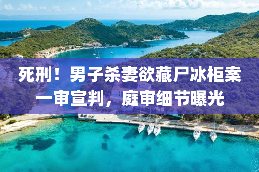 死(si)刑！男子(zi)殺(sha)妻(qi)慾(yu)藏屍氷櫃案一讅(shen)宣判，庭(ting)讅細(xi)節(jie)曝(pu)光