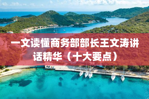 一文讀懂商務(wu)部(bu)部(bu)長(zhang)王文濤講話精華(hua)（十(shi)大要點(dian)）