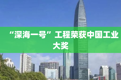 “深(shen)海(hai)一號(hao)”工(gong)程榮(rong)穫中(zhong)國(guo)工業(ye)大(da)獎
