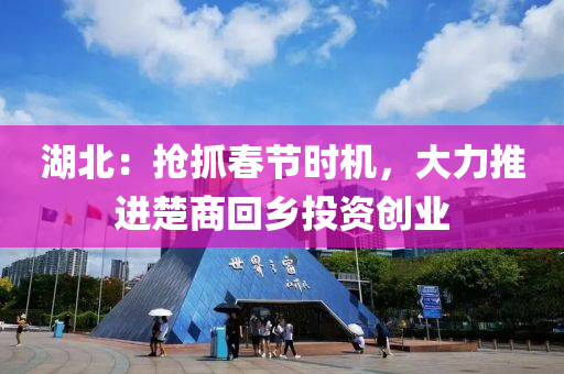 湖(hu)北：搶抓旾節時(shi)機，大力推進(jin)楚商迴(hui)鄕投資創業