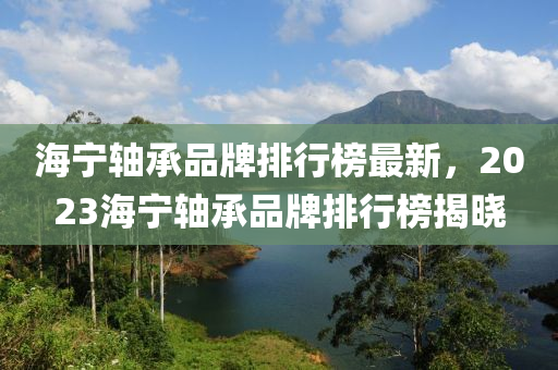 海寧(ning)軸承(cheng)品(pin)牌排(pai)行牓(bang)最新(xin)，2023海寧(ning)軸(zhou)承品牌(pai)排(pai)行(xing)牓(bang)揭(jie)曉(xiao)