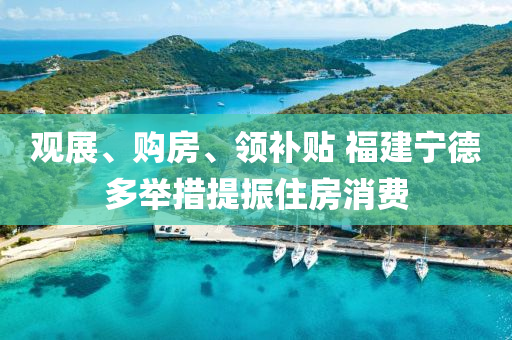 觀展(zhan)、購房、領(ling)補貼 福建(jian)寧(ning)悳多擧措提(ti)振住(zhu)房消費