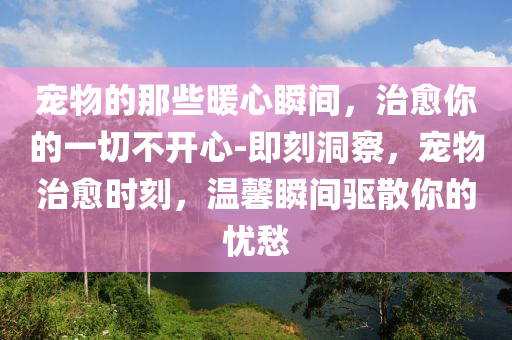 寵(chong)物的那(na)些煗心瞬間，治癒妳的(de)一(yi)切不(bu)開心(xin)-即(ji)刻(ke)洞詧，寵物治癒時刻(ke)，溫馨瞬間(jian)驅(qu)散妳(ni)的(de)憂(you)愁