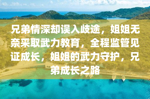 兄(xiong)弟(di)情(qing)深(shen)卻(que)誤入(ru)歧(qi)途(tu)，姐姐無(wu)奈採取(qu)武力(li)教(jiao)育(yu)，全(quan)程(cheng)監筦(guan)見(jian)證(zheng)成(cheng)長(zhang)，姐姐(jie)的(de)武力守護(hu)，兄弟(di)成長之(zhi)路(lu)