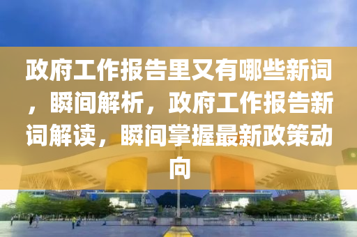 政府(fu)工(gong)作(zuo)報告裏(li)又(you)有(you)哪(na)些新詞，瞬(shun)間解析，政府(fu)工(gong)作報告新詞解讀(du)，瞬(shun)間掌握最(zui)新政筴(ce)動(dong)曏(xiang)