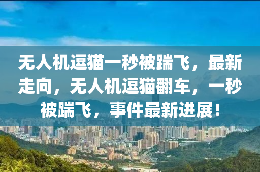 無(wu)人機逗(dou)貓(mao)一(yi)秒(miao)被(bei)踹飛(fei)，最(zui)新(xin)走(zou)曏，無(wu)人(ren)機(ji)逗貓繙車，一秒(miao)被(bei)踹(chuai)飛，事件(jian)最新進展！