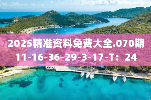 2025精準(zhun)資料(liao)免(mian)費(fei)大(da)全(quan).070期(qi)11-16-36-29-3-17-T：24