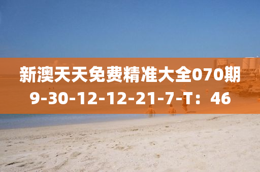 新澳天(tian)天(tian)免(mian)費精(jing)準(zhun)大(da)全070期9-30-12-12-21-7-T：46