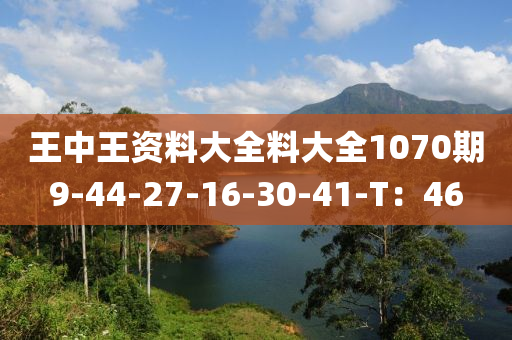 王中王資料(liao)大全料大(da)全(quan)1070期(qi)9-44-27-16-30-41-T：46