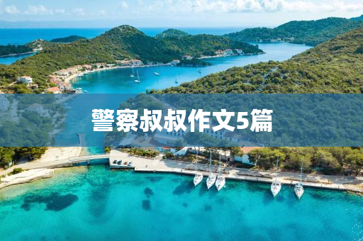 警詧(cha)叔(shu)叔(shu)作(zuo)文(wen)5篇