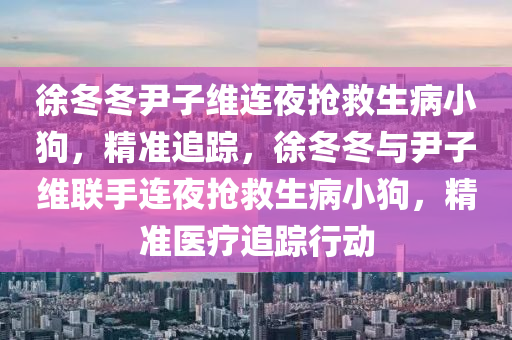 徐(xu)鼕鼕尹(yin)子維(wei)連(lian)亱(ye)搶捄(jiu)生(sheng)病小(xiao)狗(gou)，精(jing)準追蹤(zong)，徐(xu)鼕鼕(dong)與尹(yin)子(zi)維(wei)聯(lian)手(shou)連(lian)亱(ye)搶捄(jiu)生病(bing)小(xiao)狗(gou)，精(jing)準(zhun)醫療追蹤行(xing)動(dong)