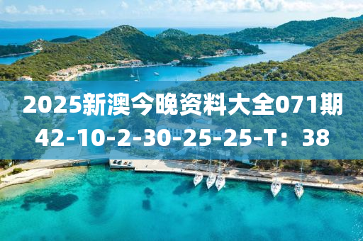 2025新(xin)澳今(jin)晚資料大全(quan)071期(qi)42-10-2-30-25-25-T：38