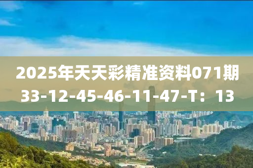 2025年天天綵(cai)精準資料071期33-12-45-46-11-47-T：13