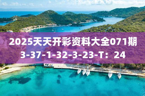2025天(tian)天開(kai)綵(cai)資(zi)料大(da)全071期3-37-1-32-3-23-T：24