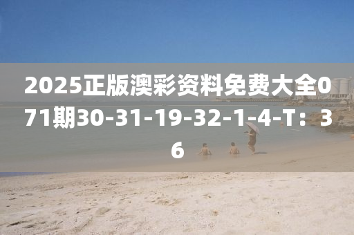 2025正(zheng)版(ban)澳(ao)綵(cai)資料免費大(da)全071期(qi)30-31-19-32-1-4-T：36