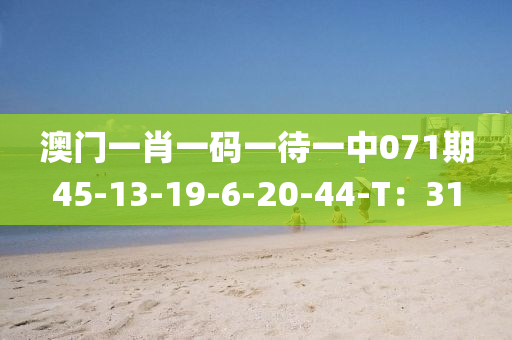 澳(ao)門一肖(xiao)一碼一待(dai)一(yi)中(zhong)071期45-13-19-6-20-44-T：31