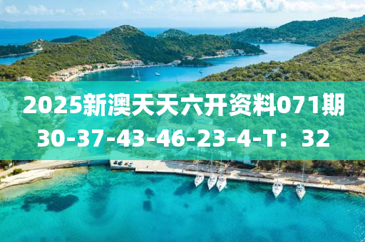 2025新澳天(tian)天(tian)六(liu)開資料071期30-37-43-46-23-4-T：32