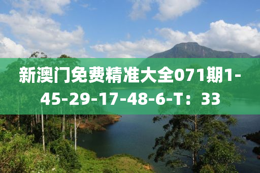 新(xin)澳(ao)門(men)免(mian)費(fei)精(jing)準大(da)全071期1-45-29-17-48-6-T：33