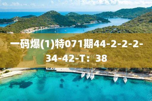 一碼爆(1)特071期44-2-2-2-34-42-T：38