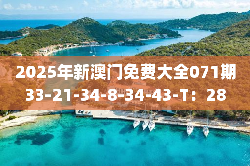 2025年新(xin)澳(ao)門免費大(da)全071期33-21-34-8-34-43-T：28
