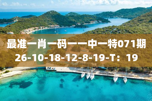 最(zui)準一(yi)肖一(yi)碼(ma)一(yi)一(yi)中一(yi)特(te)071期(qi)26-10-18-12-8-19-T：19
