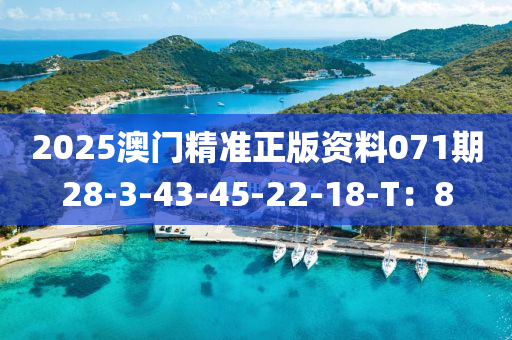 2025澳門精準正(zheng)版資(zi)料(liao)071期28-3-43-45-22-18-T：8