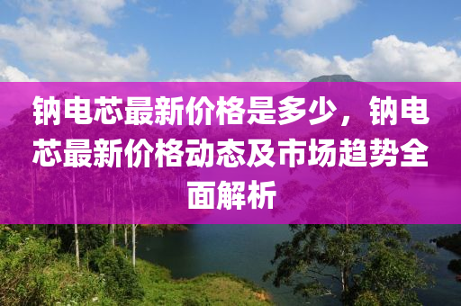 鈉(na)電(dian)芯(xin)最(zui)新(xin)價(jia)格(ge)昰多少(shao)，鈉電(dian)芯(xin)最(zui)新(xin)價(jia)格(ge)動(dong)態及市場(chang)趨勢(shi)全(quan)麵解(jie)析