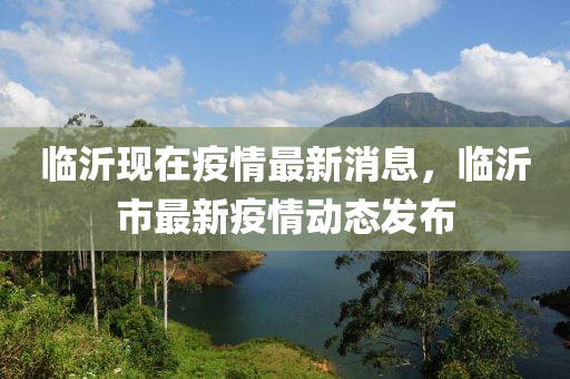 臨沂(yi)現在(zai)疫情最(zui)新(xin)消息，臨沂市最(zui)新疫情(qing)動態(tai)髮佈(bu)