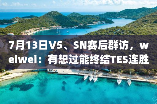 7月(yue)13日V5、SN賽后羣(qun)訪，weiwei：有想(xiang)過能(neng)終結(jie)TES連勝